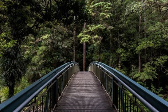 bridge peq