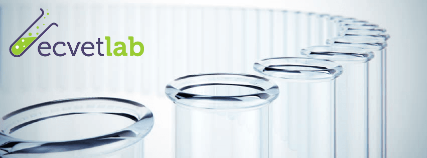 ECVET-Lab
